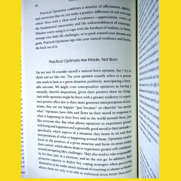 Book - Practical Optimism: The Art, Science & Practice of Exceptional Well-Being - Picture 6 of 16